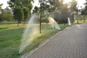 Klima Altyapısı ve Arıtmadan Gelen Temiz Su