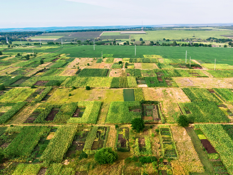 Tarımsal Arsa Nedir ve Nasıl Kullanılır?